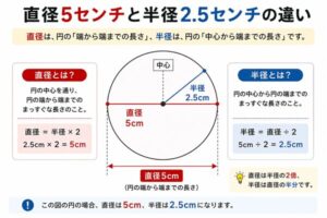 直径5センチはどのくらい (3)